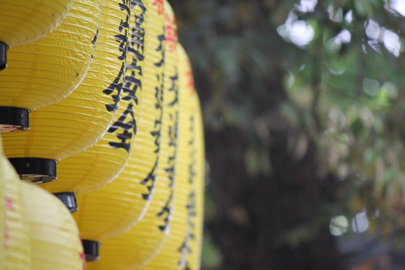 Yellow Lanterns at Inari